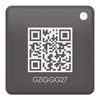 MaxxOne KITE Wireless Alarm Proxy Tag
